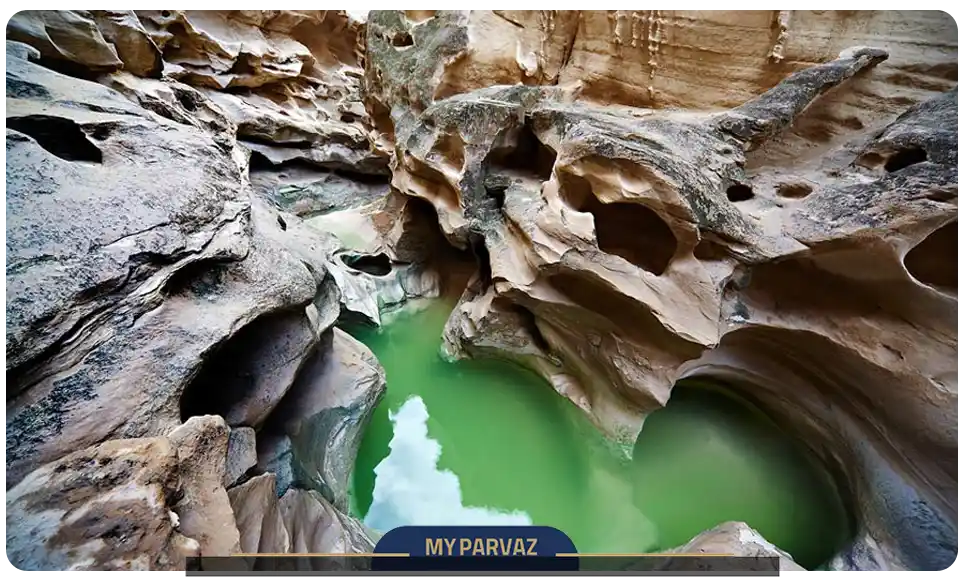 موزه ژئو پارک قشم، کامل ترین حیات وحش در ایران